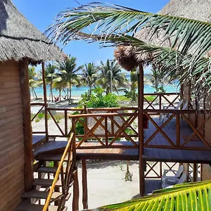 Palmeras De Lodge Mahahual